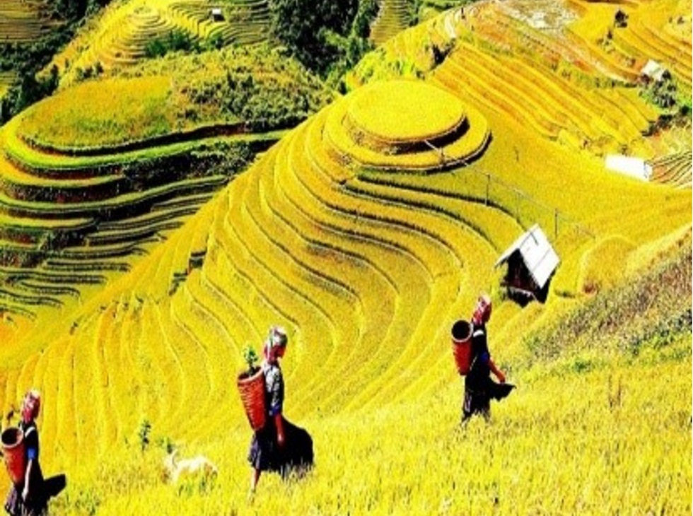 HÀ NỘI –  SUỐI KHOÁNG NÓNG NGỌC CHIẾN – MÙ CANG CHẢI – HÀ NỘI 3N2Đ