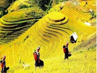 HÀ NỘI –  SUỐI KHOÁNG NÓNG NGỌC CHIẾN – MÙ CANG CHẢI – HÀ NỘI 3N2Đ